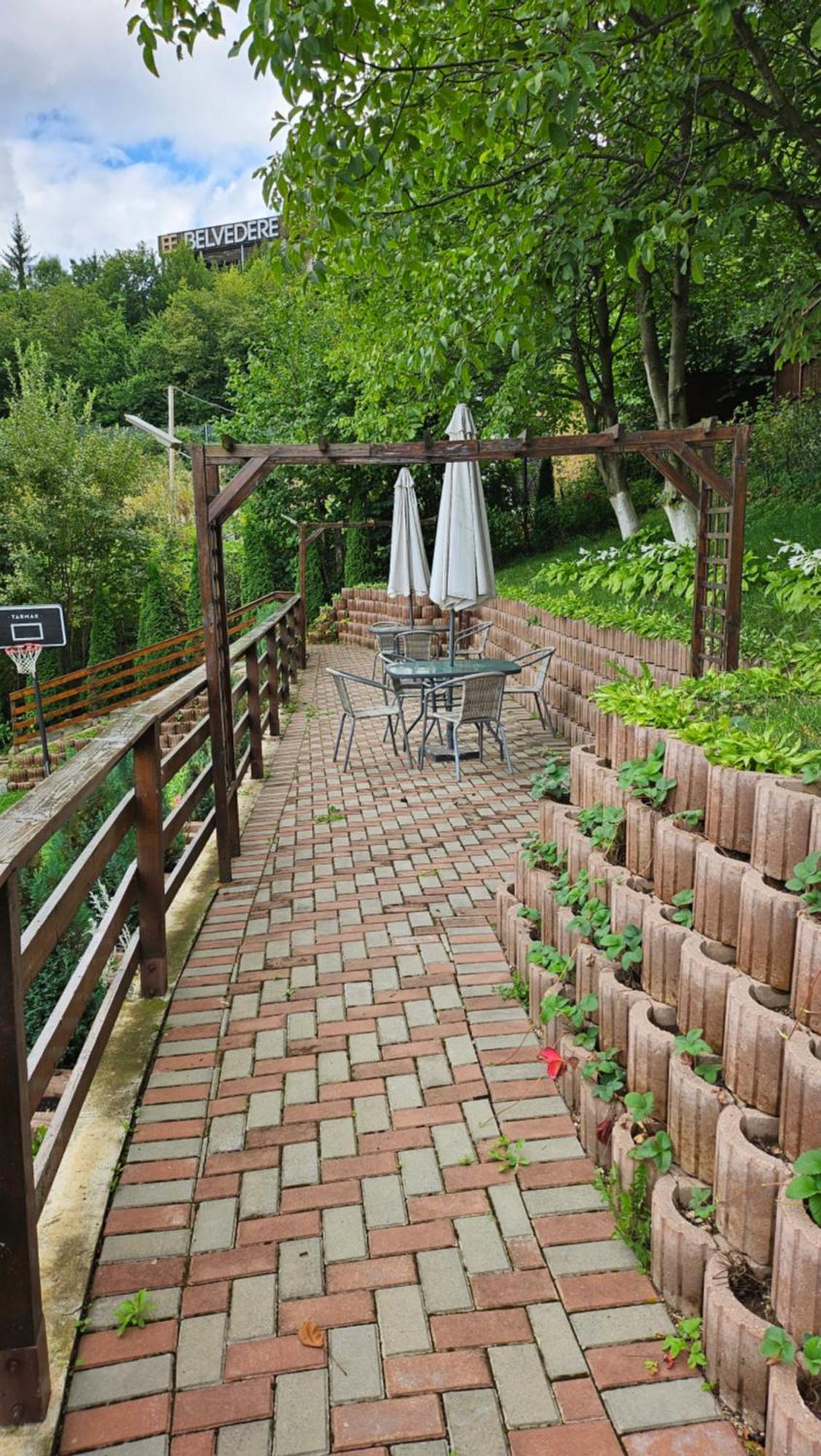 Matei Residence Brašov Exteriér fotografie